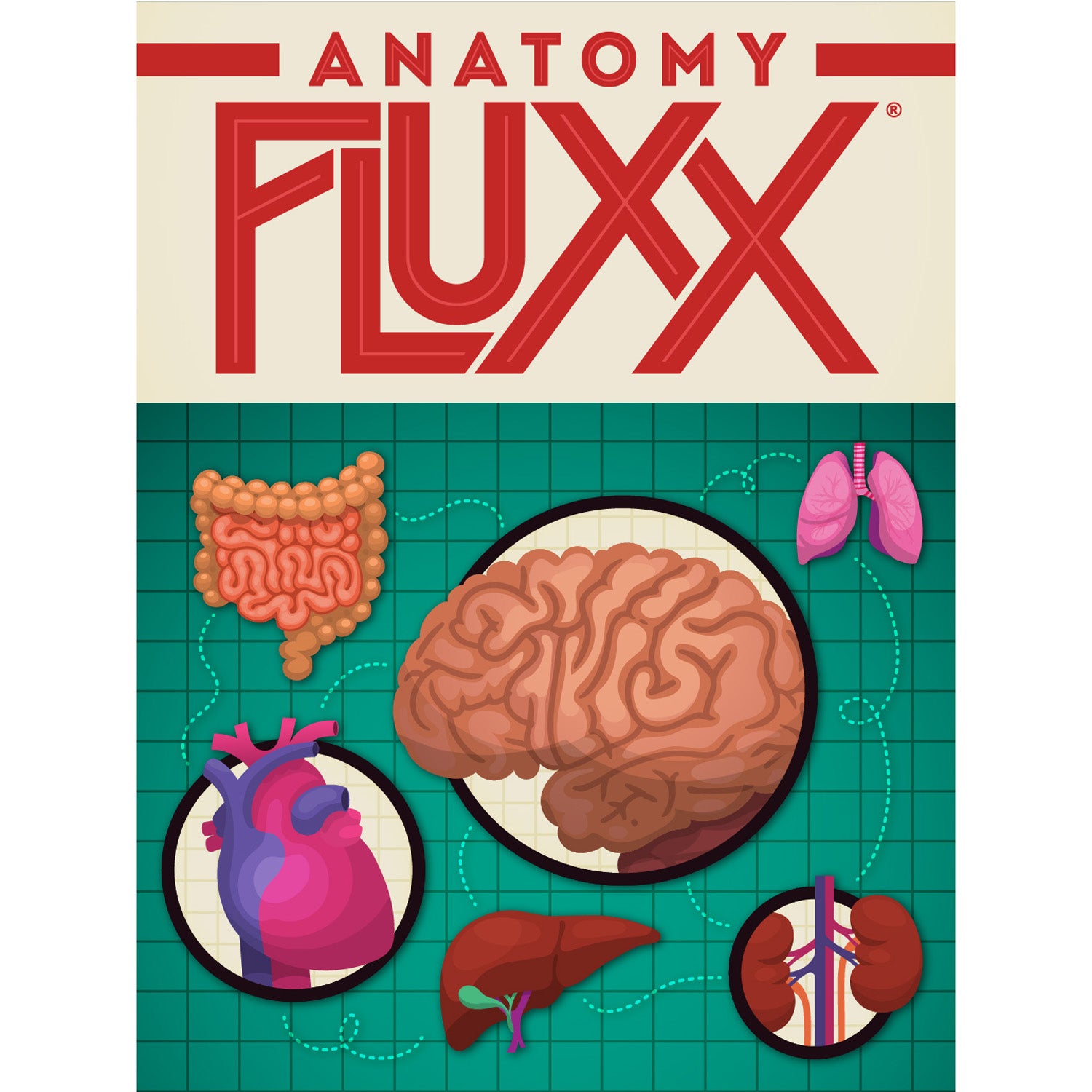 Looney Labs Anatomy Fluxx Educational Card Game