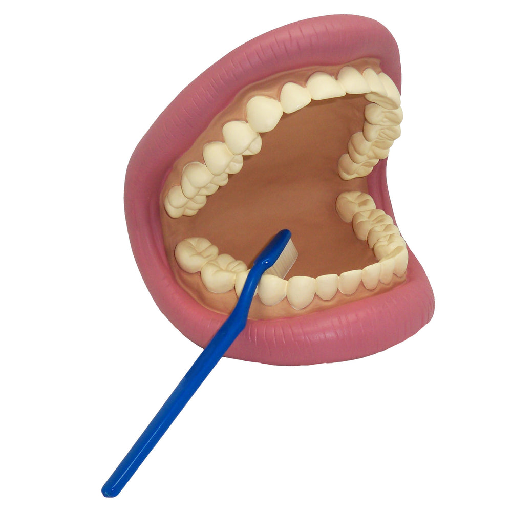 Get Ready Kids Mouth Puppet - Playful Dental Education Toy