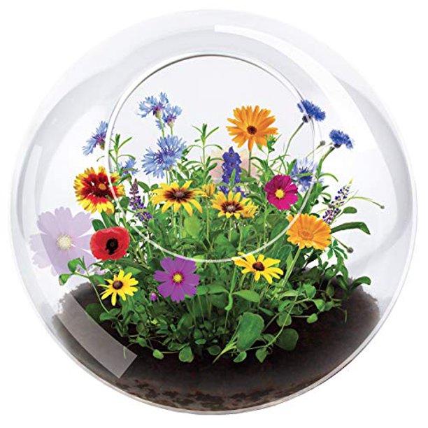 Unique Gardener Glass Terrarium - Wildflower Blooms