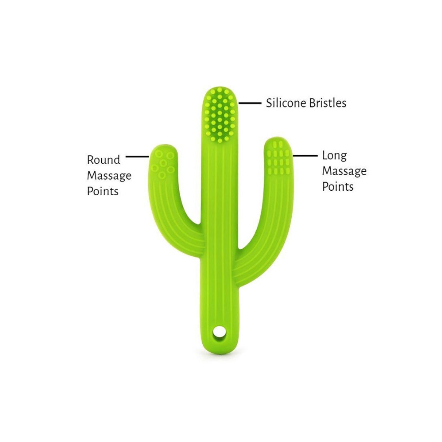 The Pencil Grip Cactus Toothbrush Teether Trio