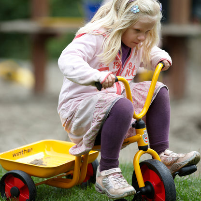 Winther Tricycle with Tray - Adventure Model 447.14