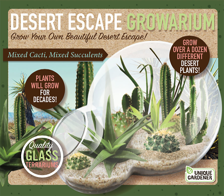 Desert Escape Growarium: Exquisite Miniature Desert Ecosystem