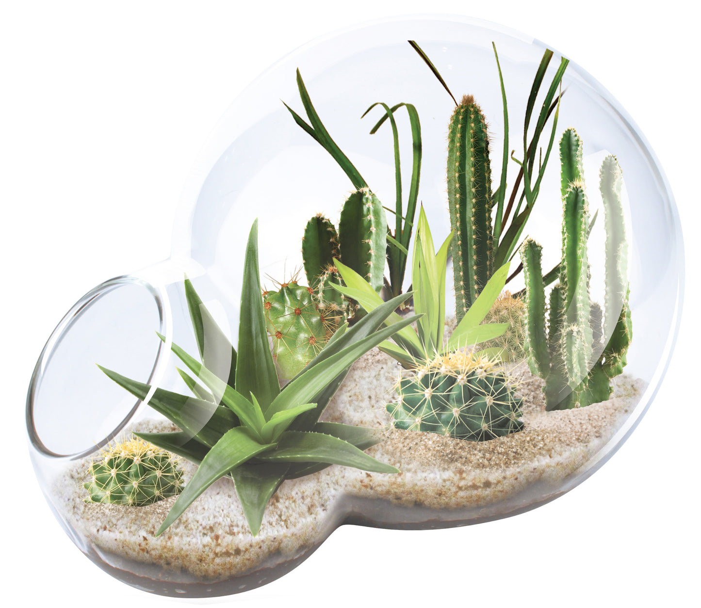 Unique Gardener Double Sphere Glass Terrarium - Desert Escape Kit