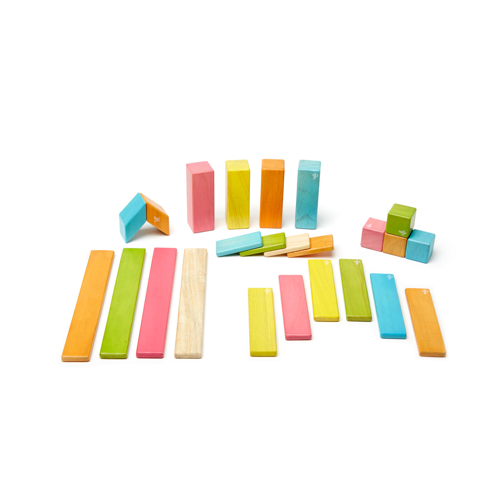 Tegu Magnetic Wooden Blocks, 24-Piece Set, Tints