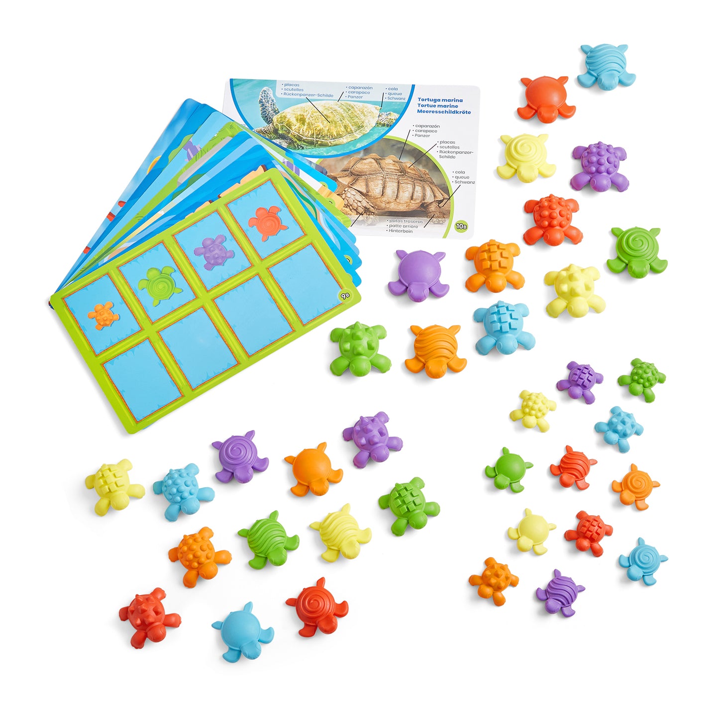 Hand2Mind Tactile Turtles - Educational Math Learning Toy Set