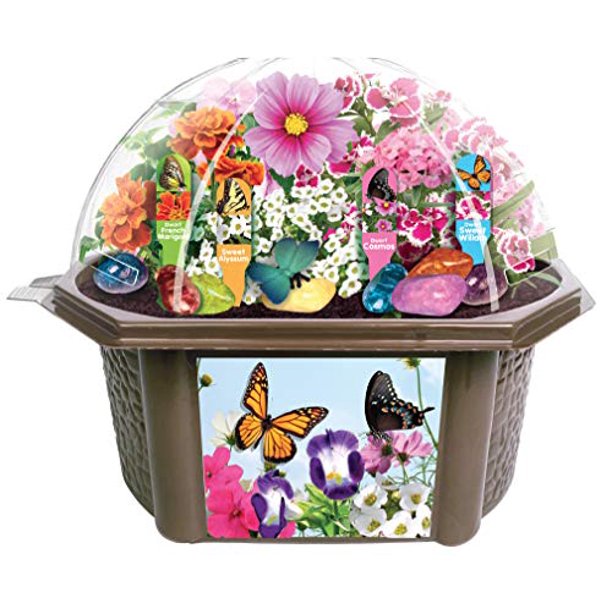 Bountiful Butterfly Garden Terrarium Kit with Colorful Flowers