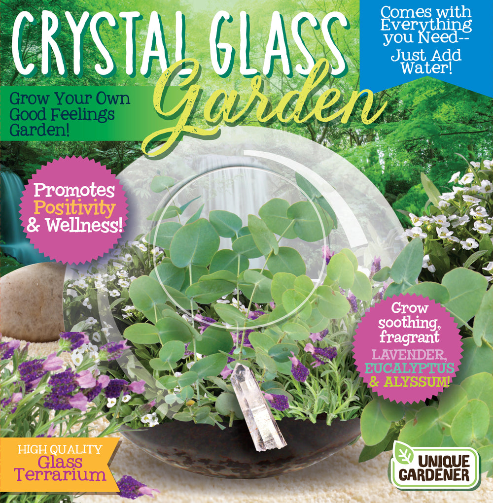 Crystal Glass Garden Terrarium Kit with Quartz and Seeds