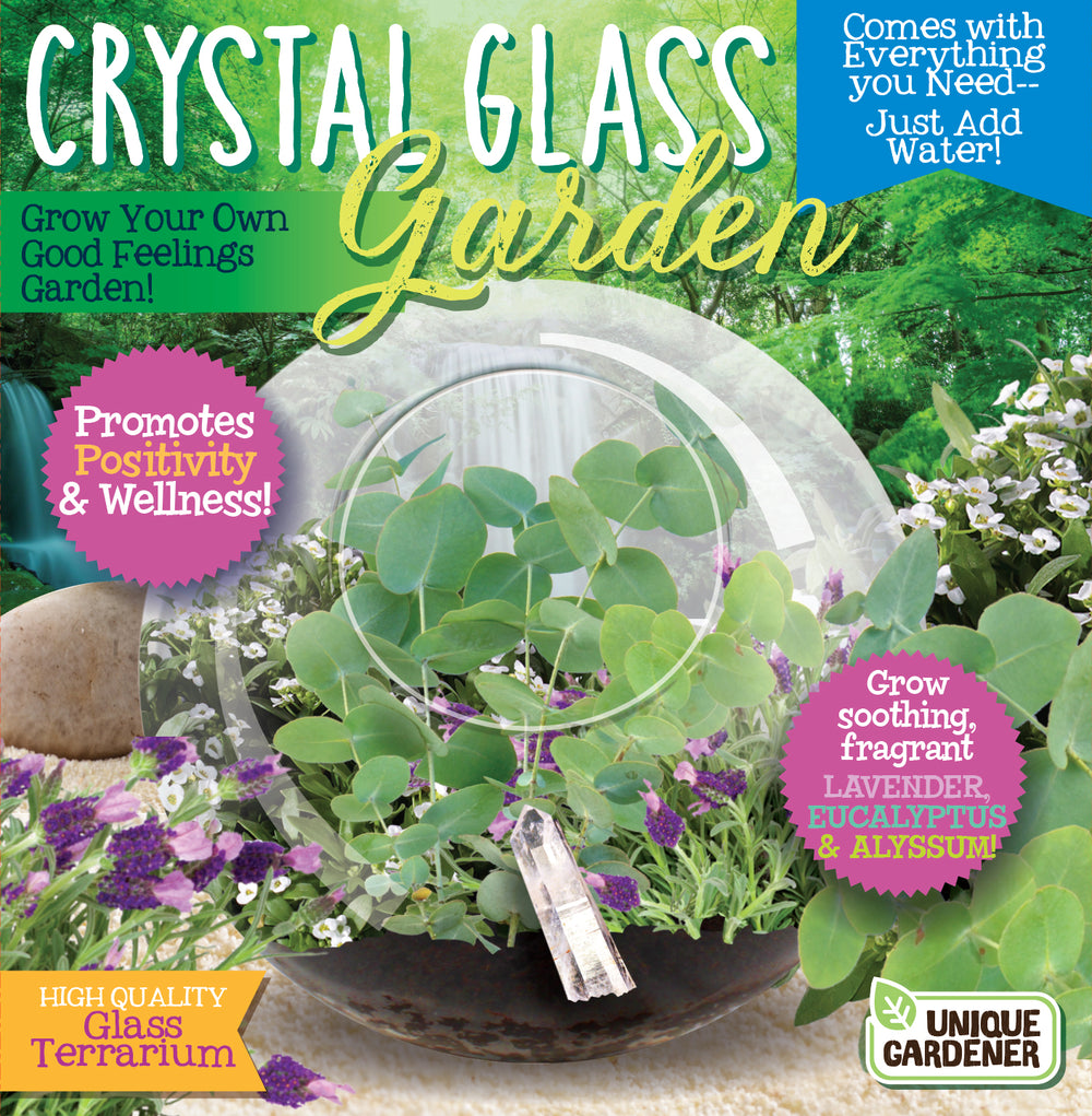 Toys'R'Us Crystal Glass Garden Quartz Crystal Terrarium Kit