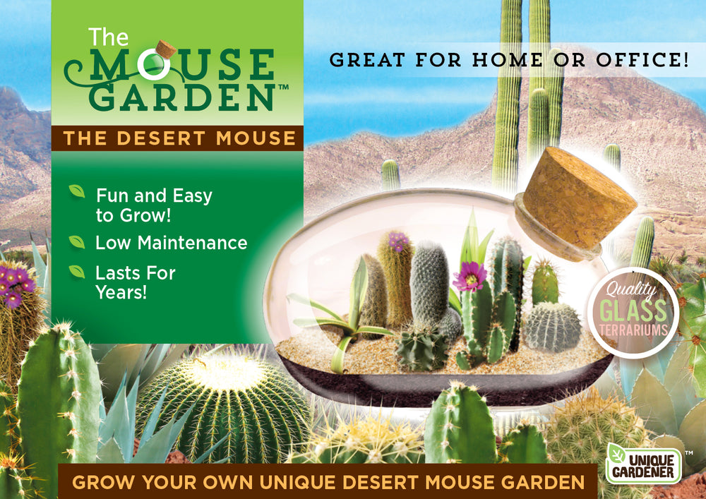 Toys R Us Desert Mouse Cacti Terrarium Kit