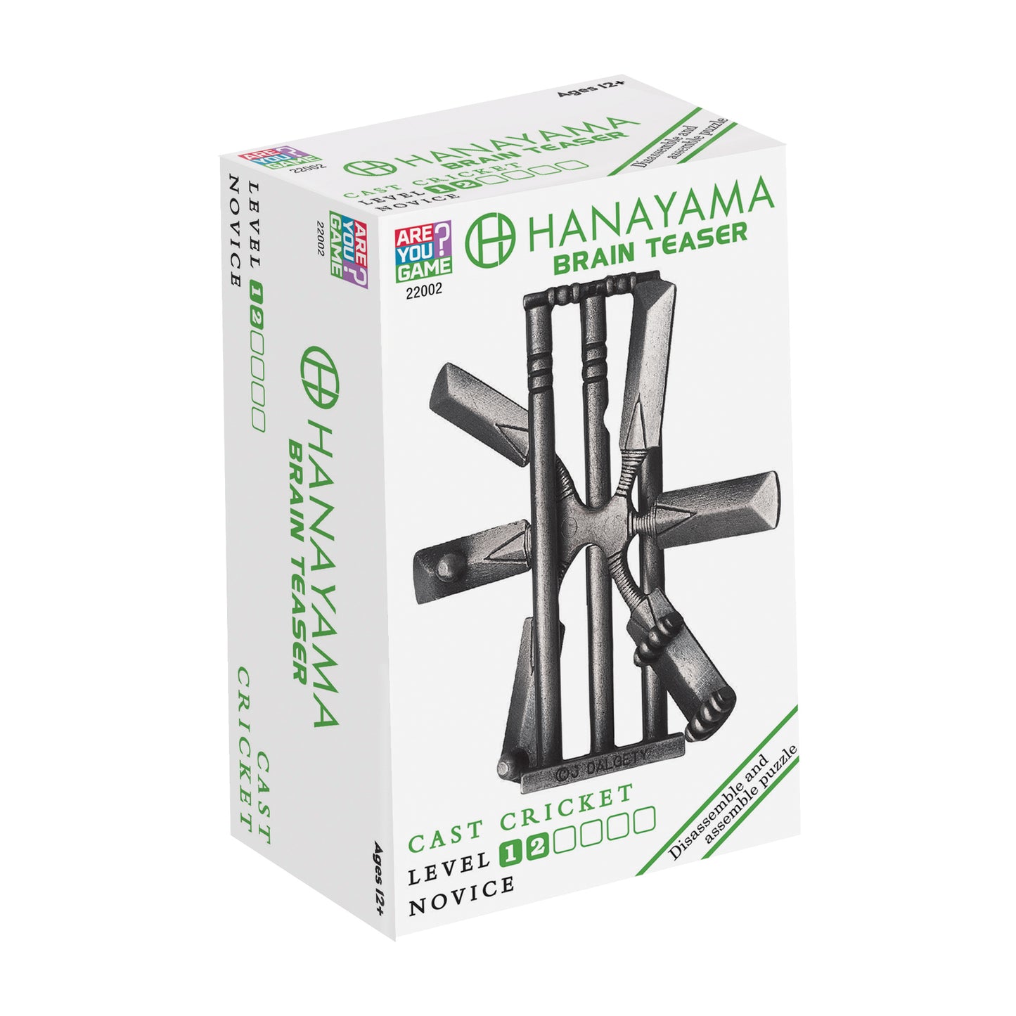 Hanayama Level 2 Cast Puzzle - Cricket Challenge