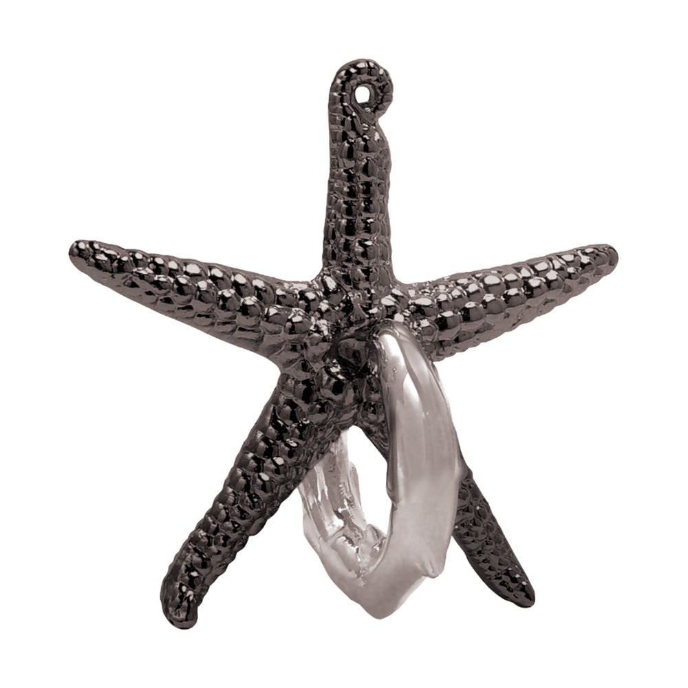 Hanayama Cast Metal Level 2 Puzzle - Starfish Voyage