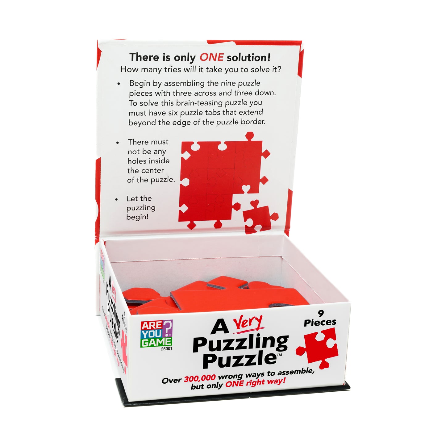 Challenging 9-Piece Brain Teaser Puzzle - A Very Puzzling Puzzle