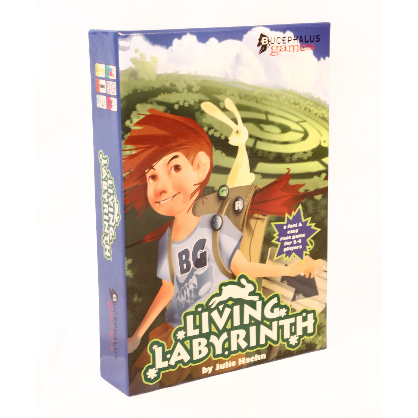 Living Labyrinth Garden Maze Race Game