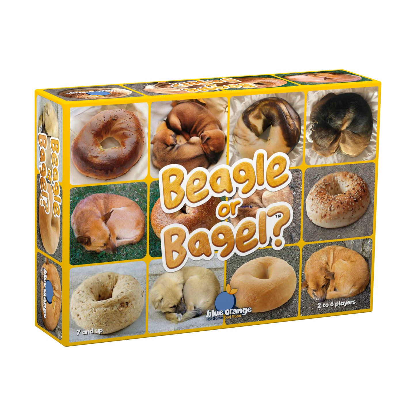 Beagle or Bagel? Family Fun Card Game