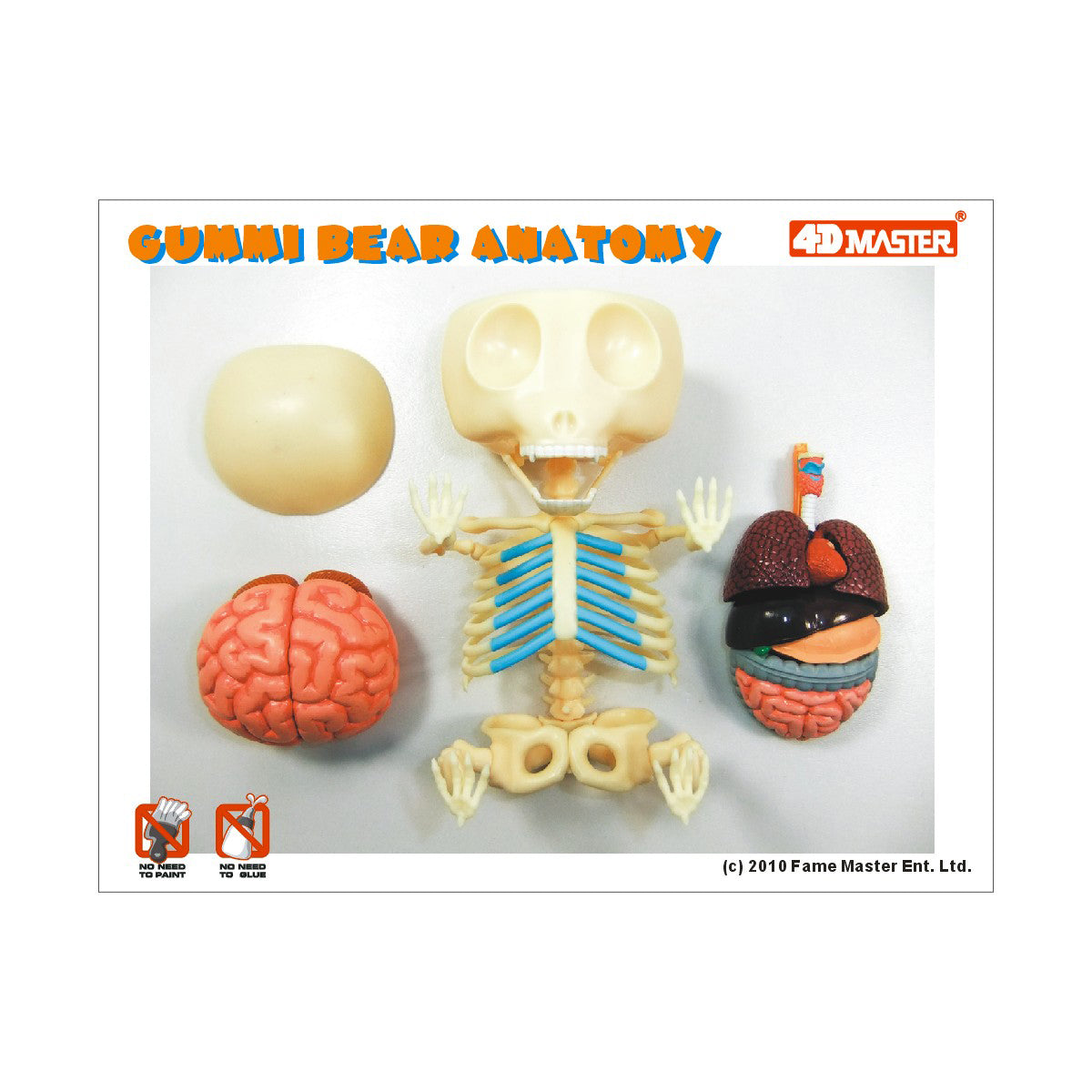 Jason Freeny Funny Anatomy Gummi Bear Model - Transparent Educational Toy