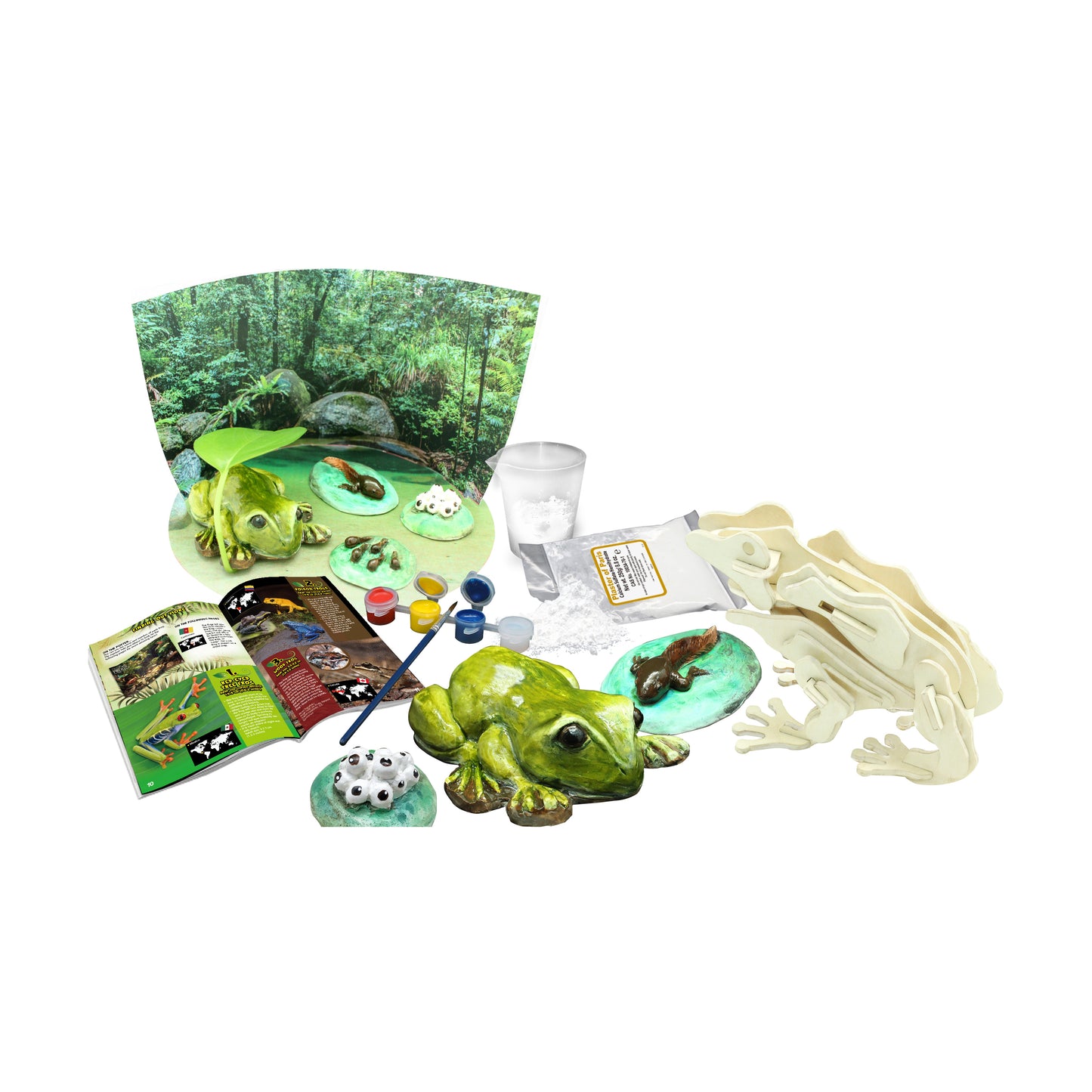 Wild Environmental Science - Amazing and Bizarre Frogs Set