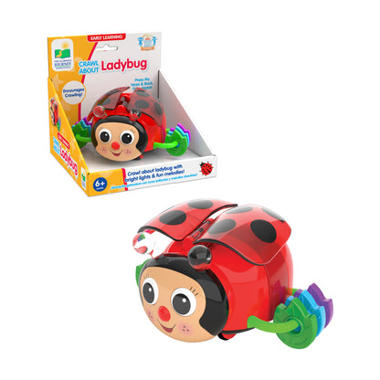 Early Learning Crawl About Ladybug - Interactive Crawling Toy