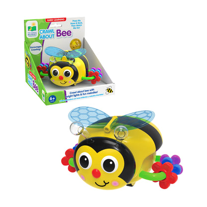 Early Learning - Crawl About Bee Interactive Toy