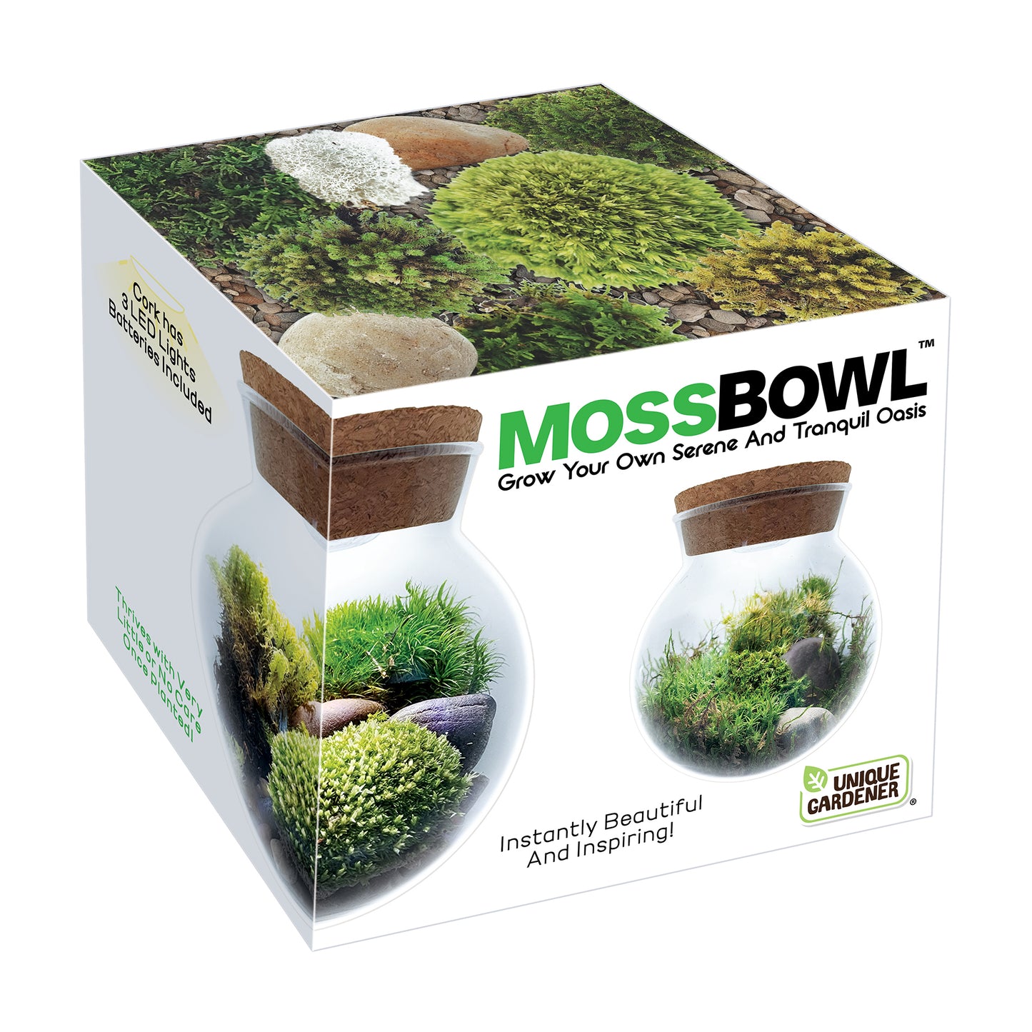 MossBowl - Cultivate Your Personal Green Zen Space