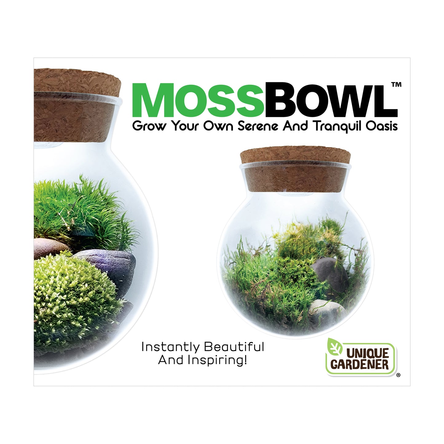 MossBowl - Cultivate Your Personal Green Zen Space