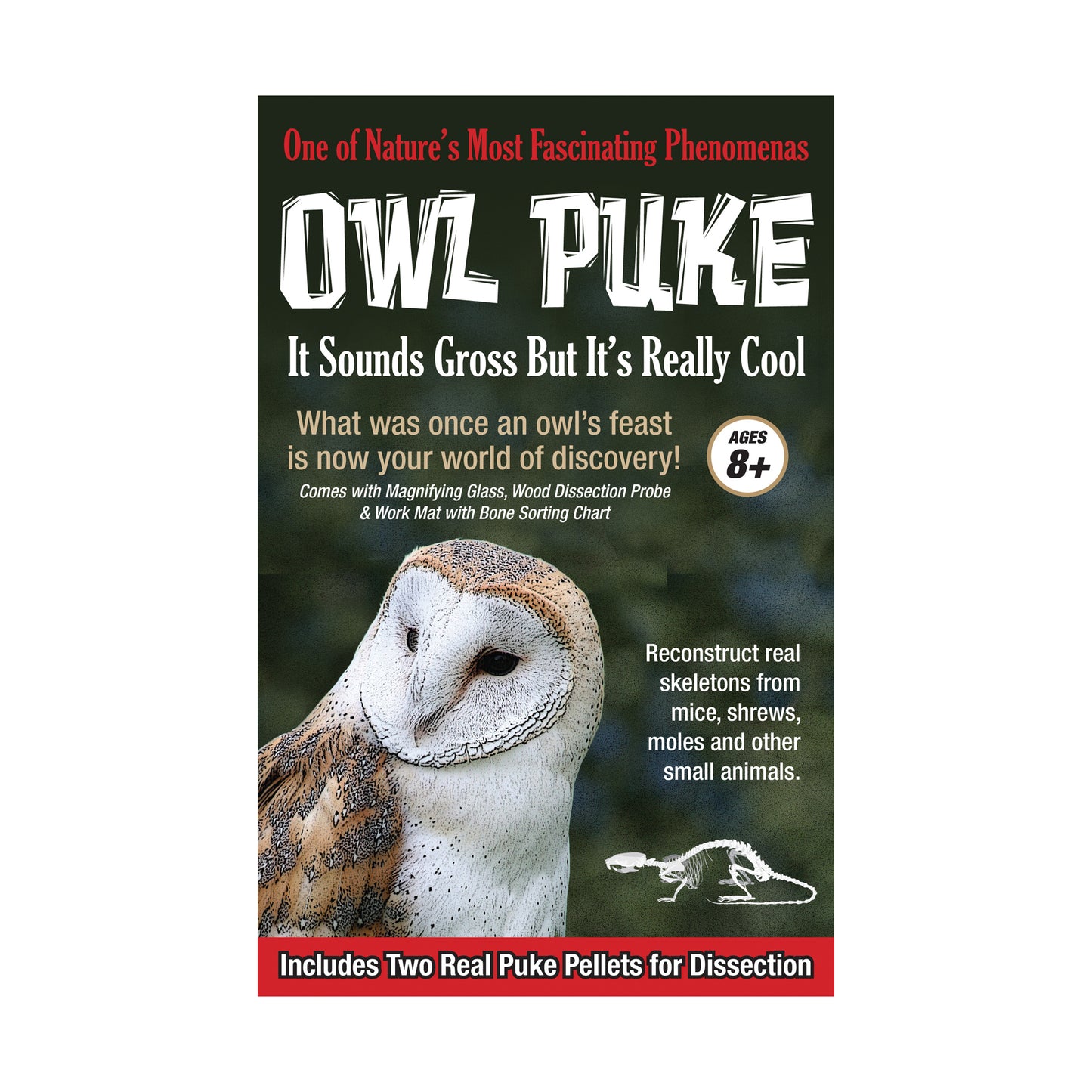 Exploratory Owl Puke Dissection Science Kit