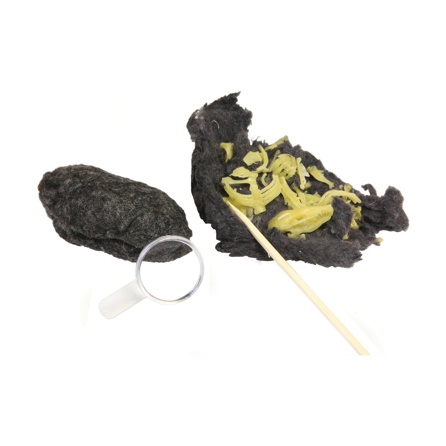 Exploratory Owl Puke Dissection Science Kit