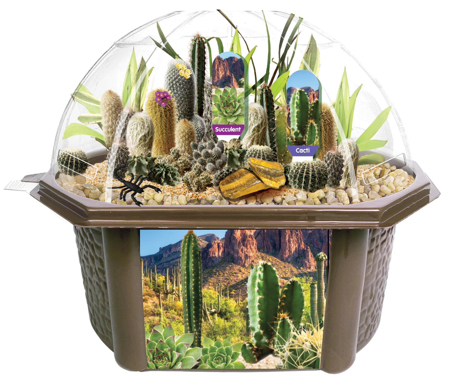 Toys R Us Desert Dome Cacti & Succulent Science Kit